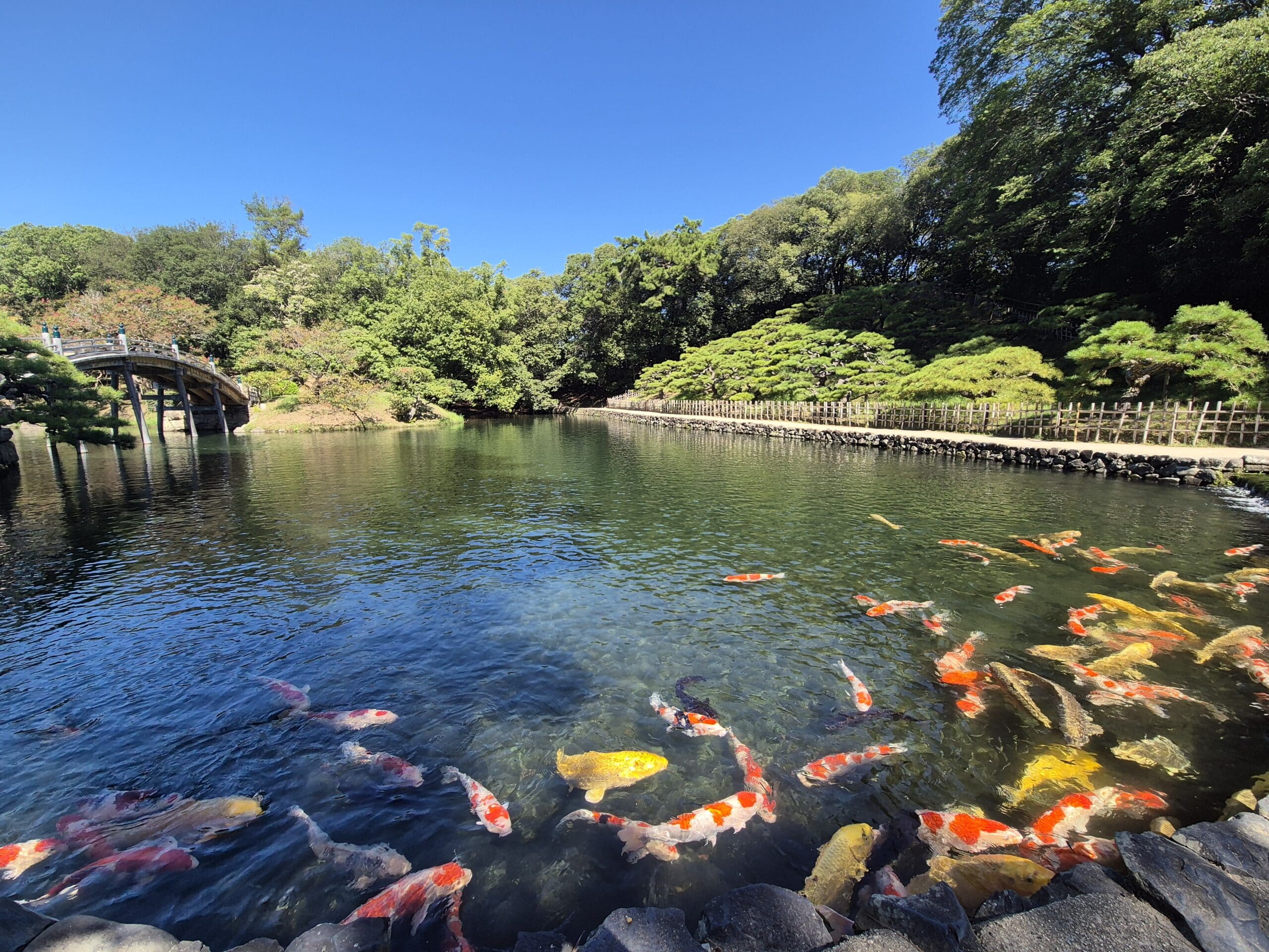 다카마쓰 여행 3박4일 Day1 | 리쓰린공원·WeBase호텔·이자카야 첫날 일정 후기
